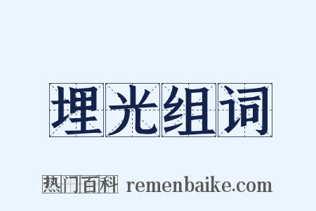 埋光组词是什么意思的图片